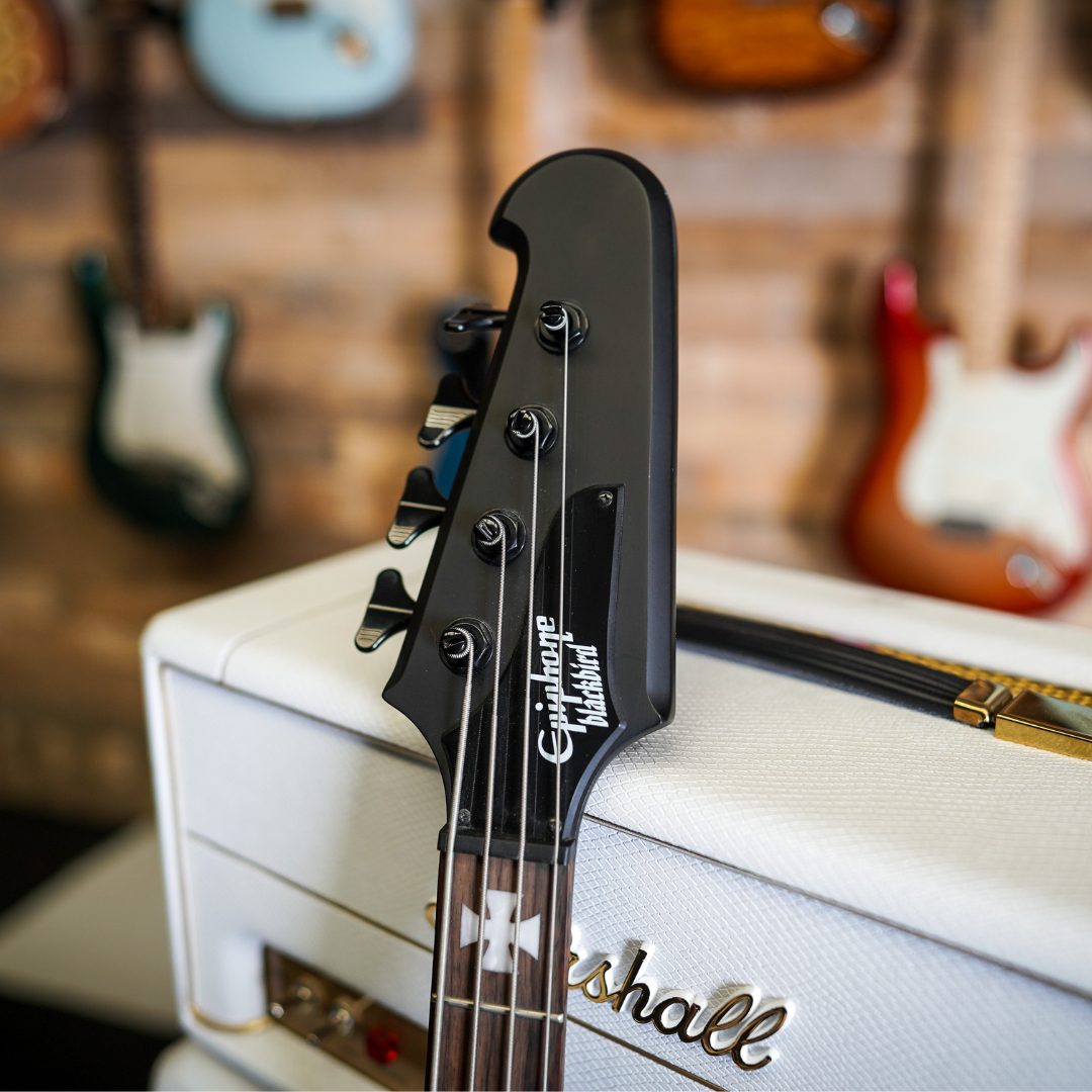 Epiphone Blackbird Nikki Sixx Signature Thunderbird Bass - The 