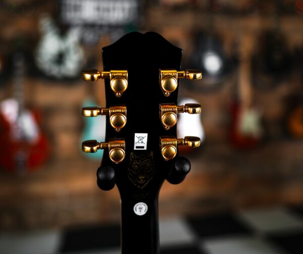 Epiphone Emily Wolfe Sheraton Flash Competition! Same-Day Delivery in the TGM Bus - Image 8