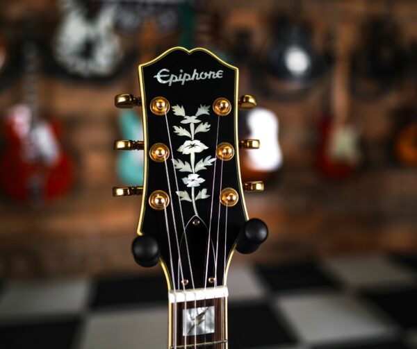 Epiphone Emily Wolfe Sheraton Flash Competition! Same-Day Delivery in the TGM Bus - Image 5