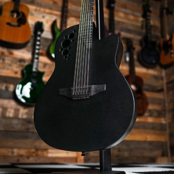 PRS Limited Edition SE Custom 24 Zebrawood - The Guitar